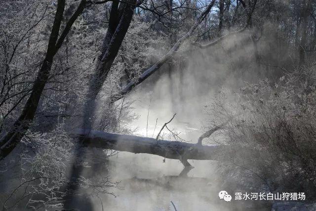 常州经开区:5个“经品” 变“民生愿景”为“幸福实景”